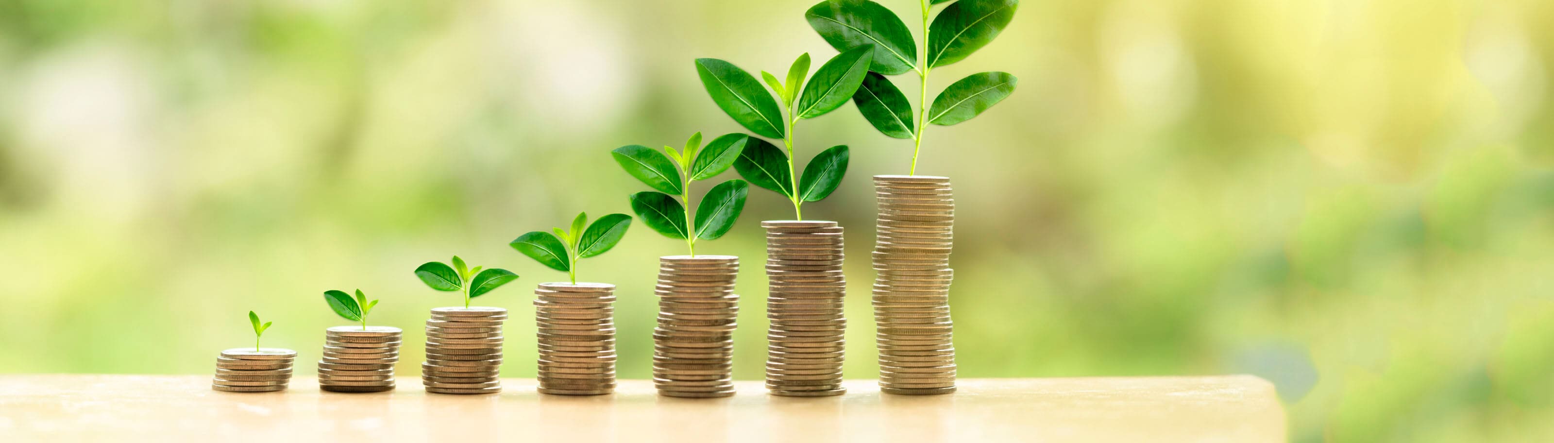 Monedas con plantas en crecimiento